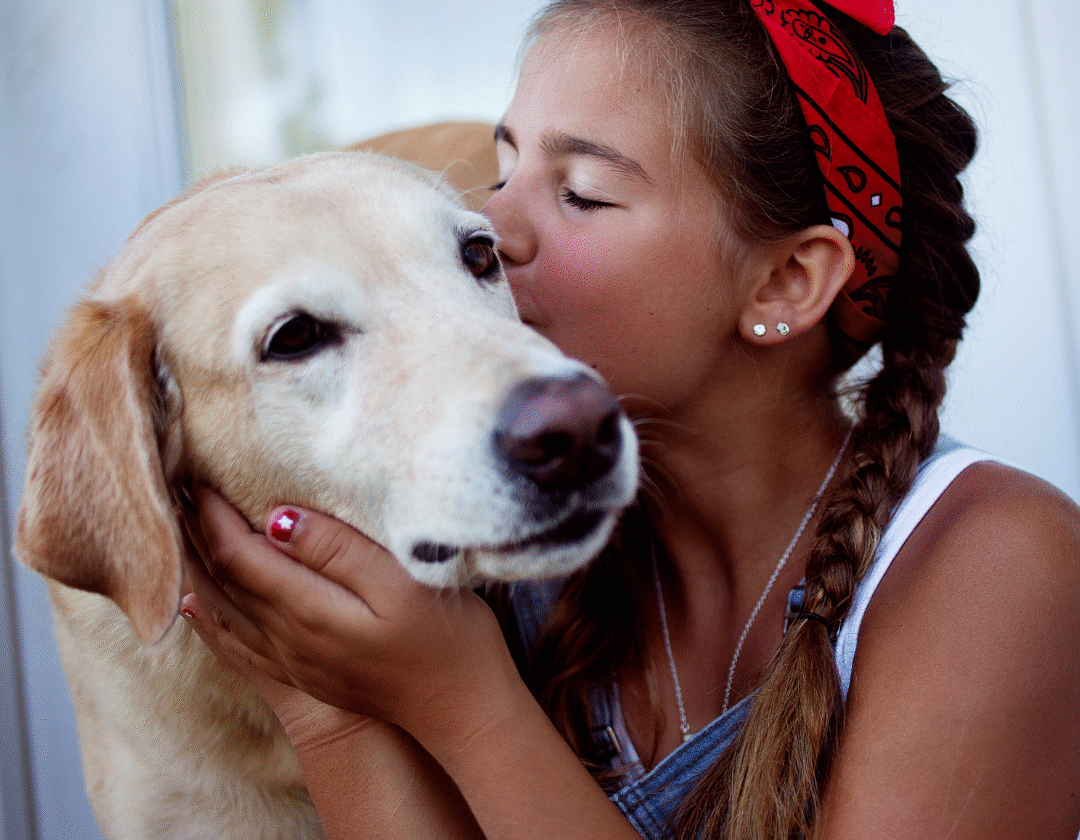 Mädchen küsst ihren Labrador liebevoll auf den Kopf und hält ihn zärtlich im Arm.